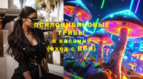 2c-b Алзамай