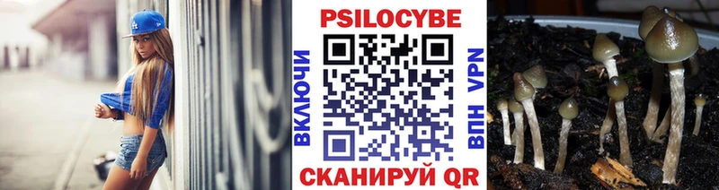 блэк спрут ссылки  купить   Карасук  Галлюциногенные грибы Cubensis 