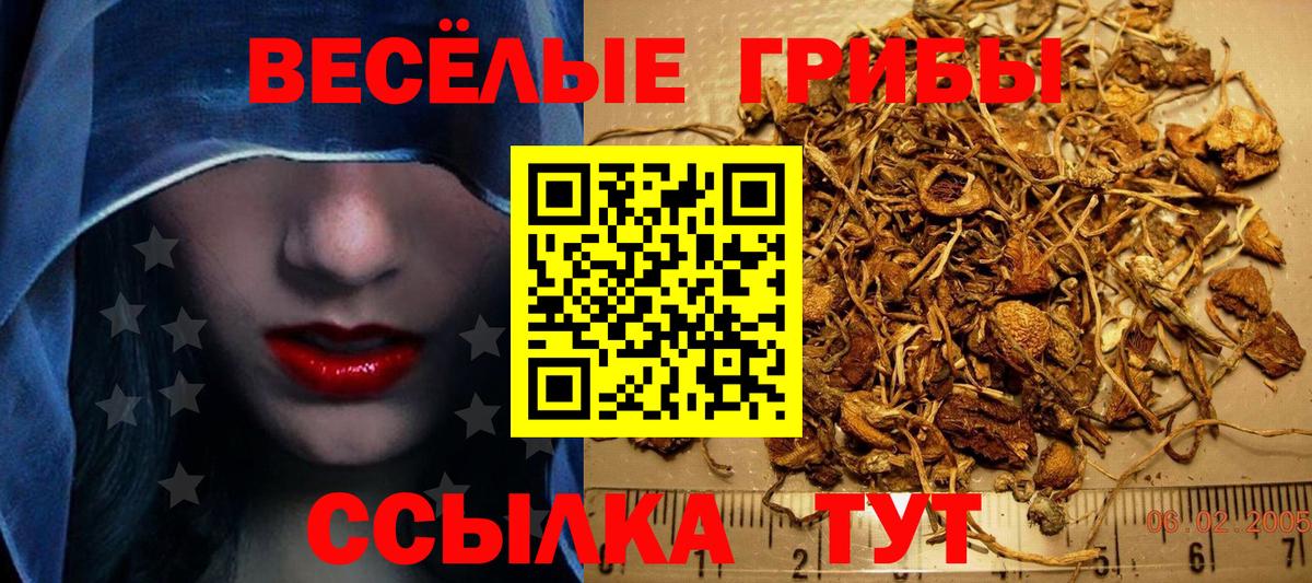 Псилоцибиновые грибы MAGIC MUSHROOMS Карасук